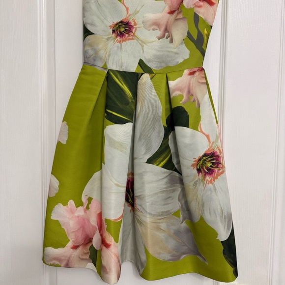 Ted Baker Green and Pink Floral Print Gown - Picture 5 of 9